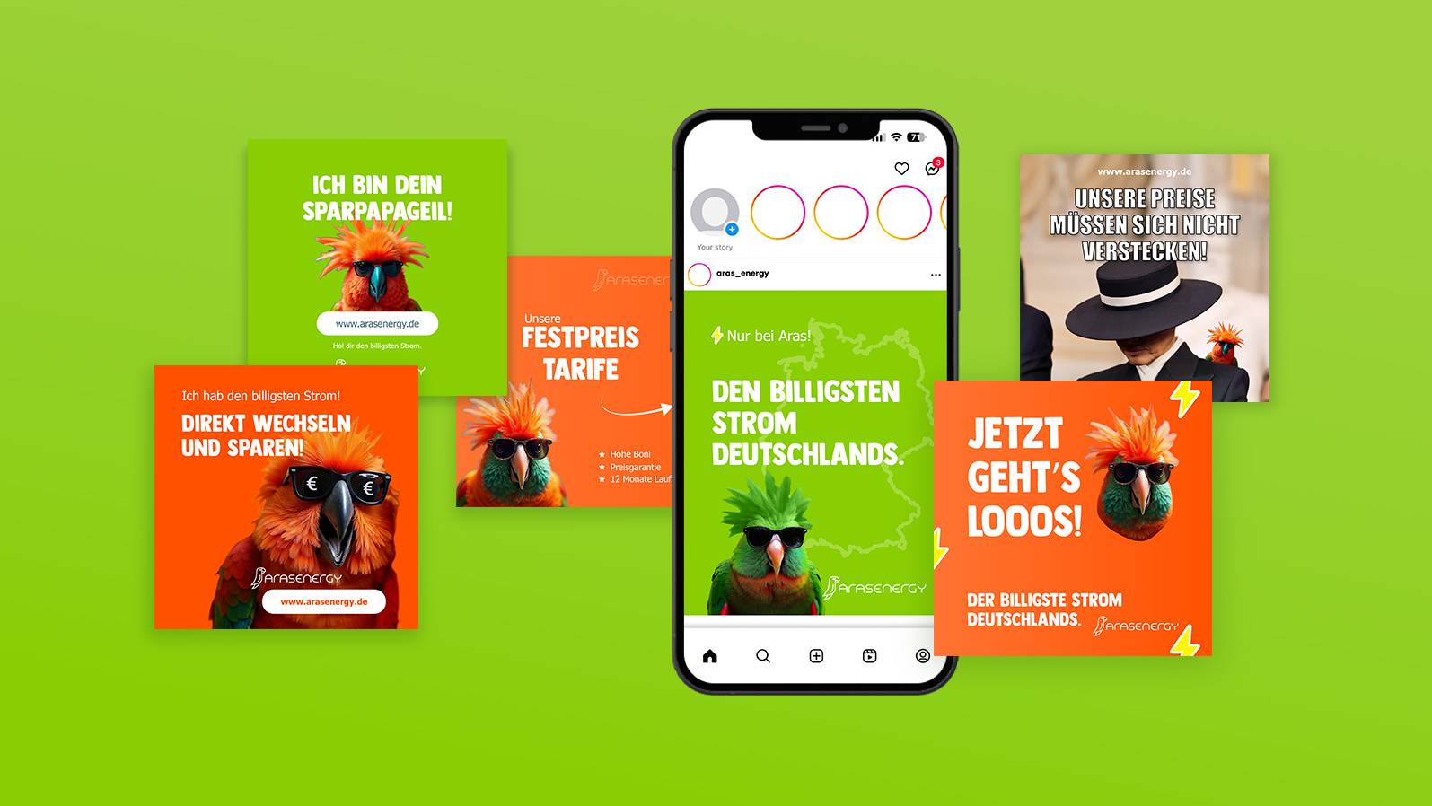 Bunte Papageien mit Sonnenbrillen werben für Aras Energy Stromtarife