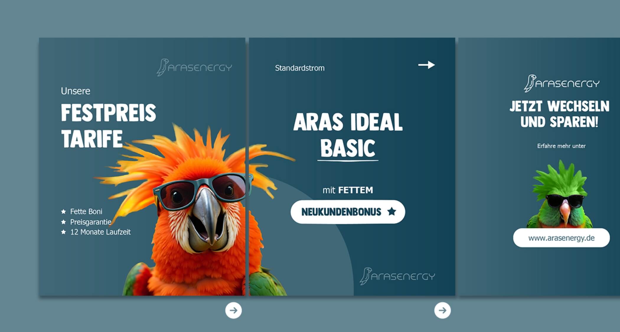 Social Media Grafiken mit bunten Papageien und Stromsparbotschaften von Aras Energy